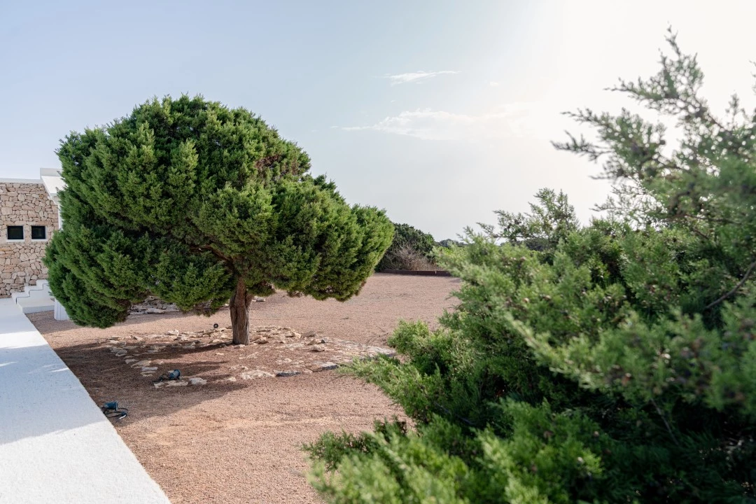 1685638336- Prospectors Luxury real estate Ibiza to rent villa Eden spain property rental garden outside.webp